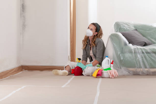 Reliable Mold Testing contractor in Lowell, OR by WQB Mold Removal