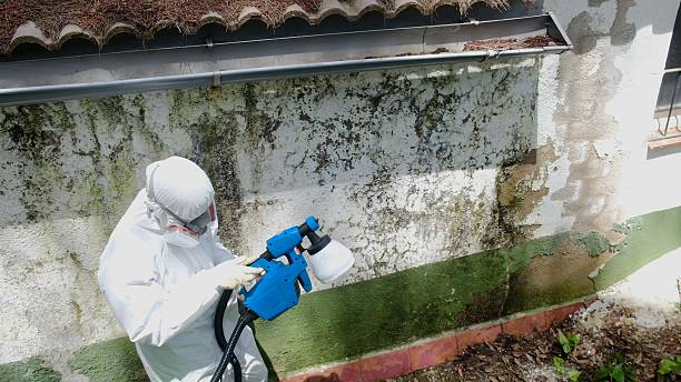 Top rated local Mold Testing specialists in Lowell, OR